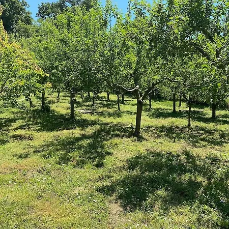 Otel Megara; Havuzlu Muestakil 4*